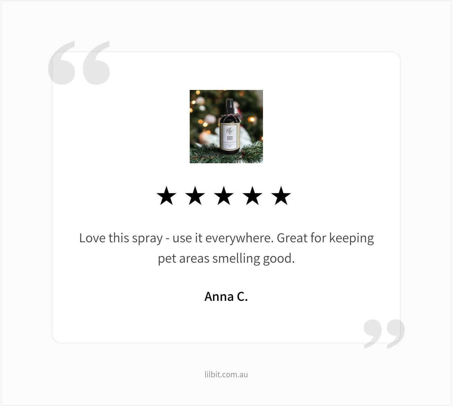 Room Spray - Peppermint by Lil'Bit Better