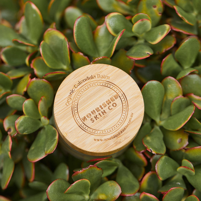 this is an image of organic calendula balm in a sea of plants and it is great for low-tox gifts