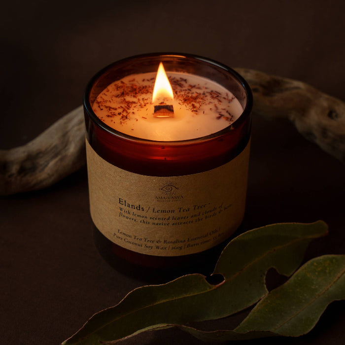 Image of lands - Native Essential Oil Candles