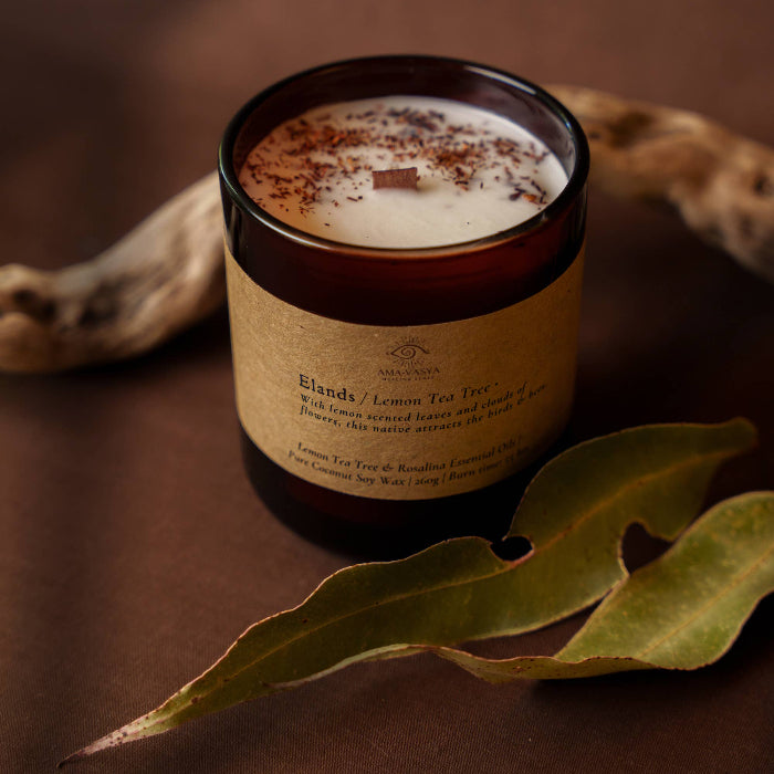Image of lands - Native Essential Oil Candles