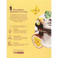 Passionfruit Margarita - Alcohol-free Cocktail by Elta Oga