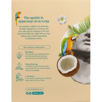 Pina Colada - Alcohol-free Cocktail by Elta Oga